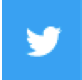 Twitter-X Icon